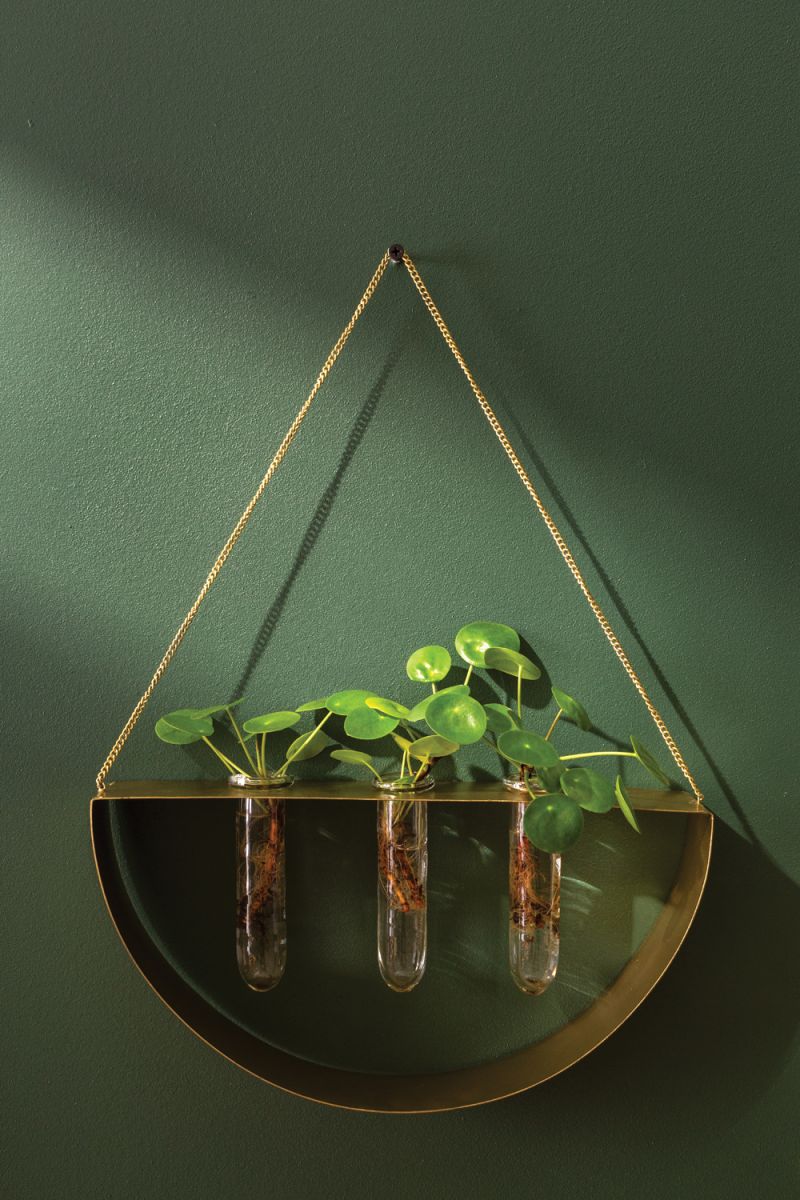 Kristin Hanging Propagation
