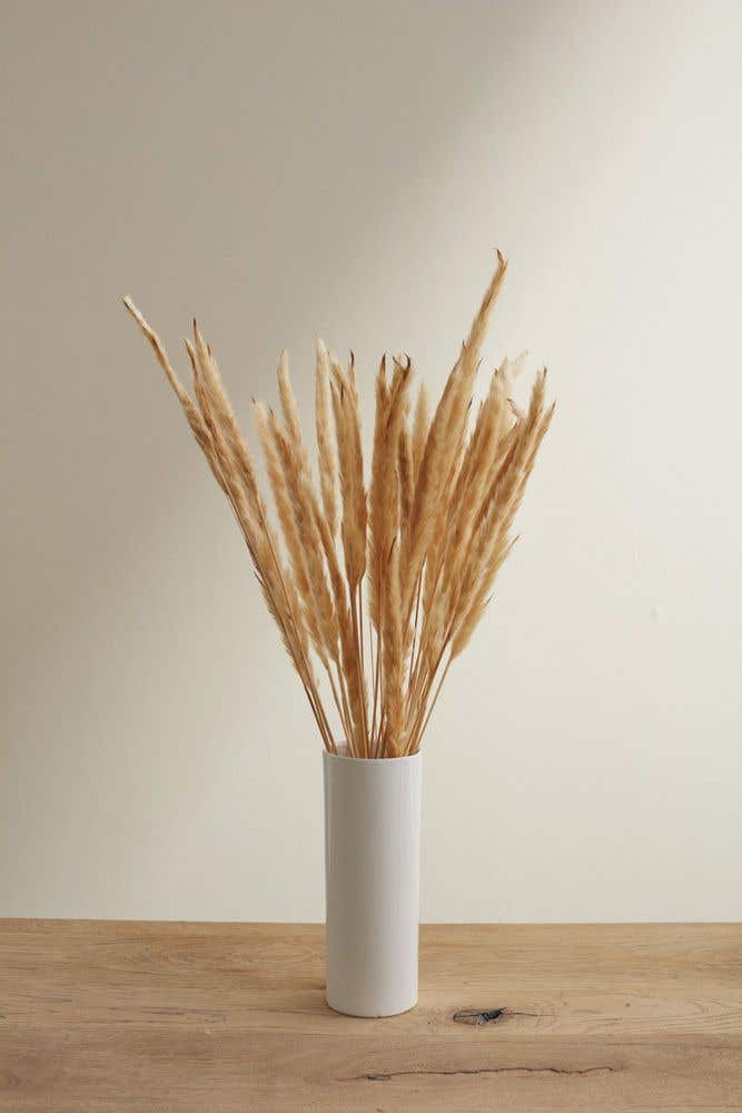 Slim Dried Pampas Grass Pack of 6