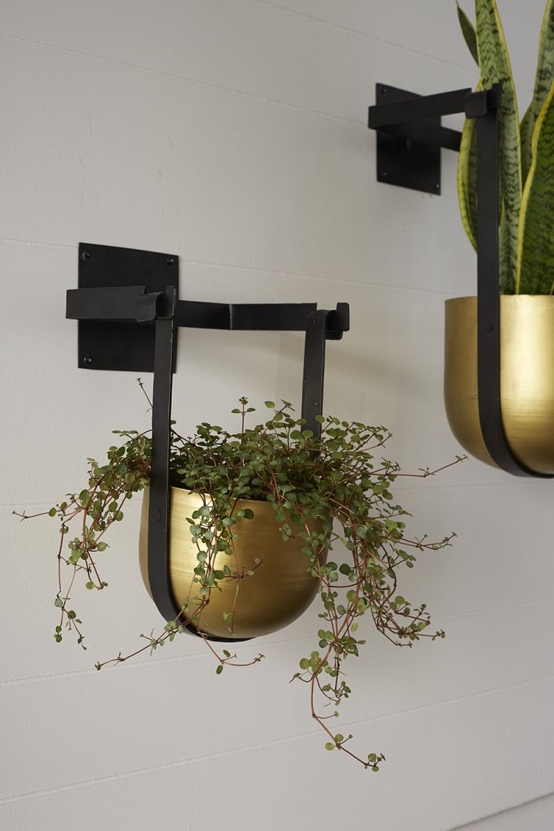 Benton Hanging Pot