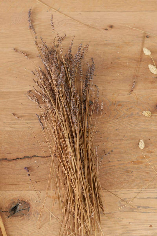 Dried Lavender