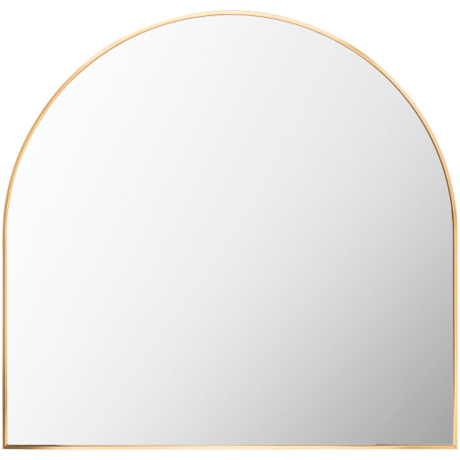 Aranya Mirror